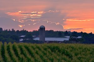 Burning North Carolina Sky